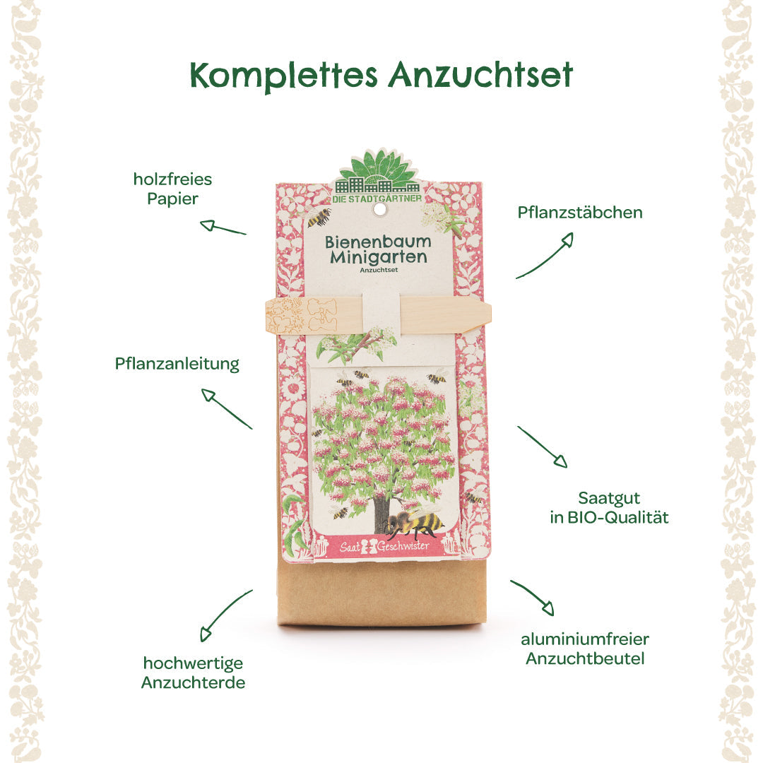 Growing kit mini garden bee tree