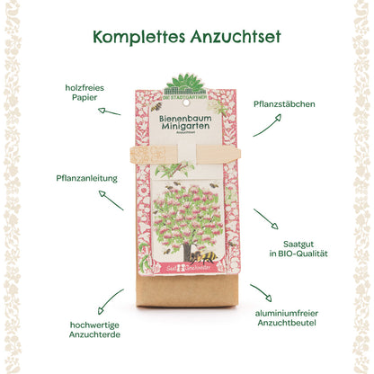 Growing kit mini garden bee tree
