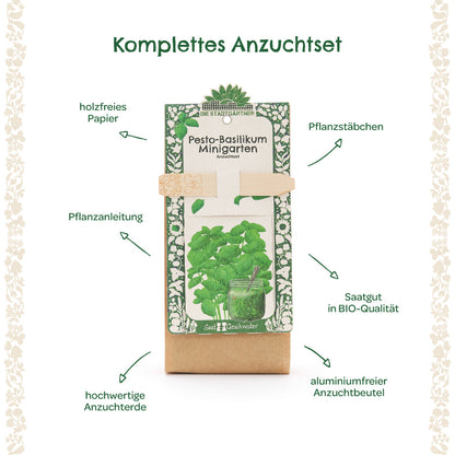 Growing kit – mini garden organic basil