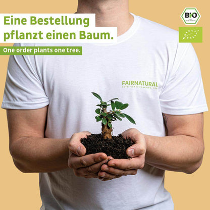 Bio Goldene Milch Pulver