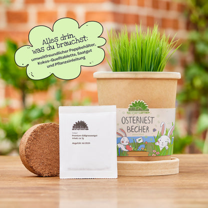 Easter nest from the cup