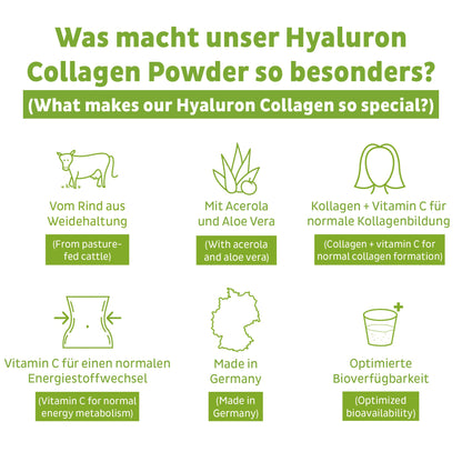 Kollagen Hyaluron Pulver