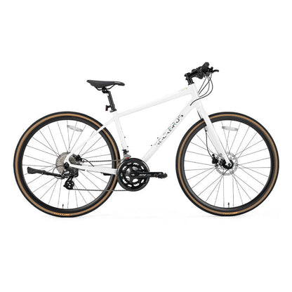 RIDA-P2E 700C Rennrad