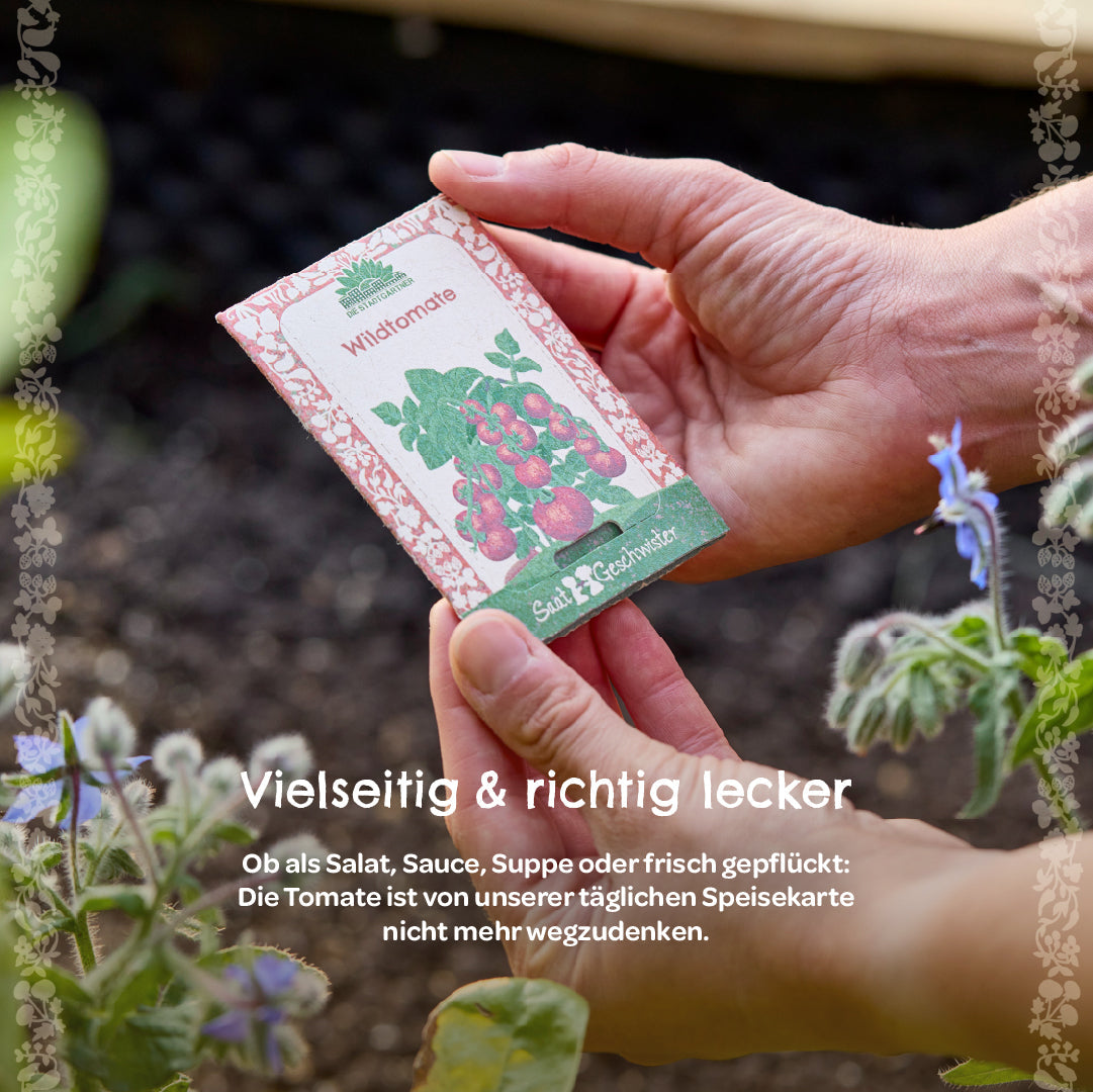 Organic wild tomato seeds