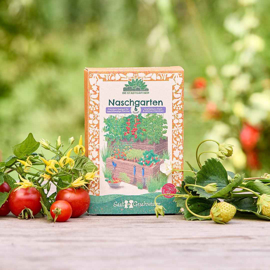 Organic seed set "Snack Garden"
