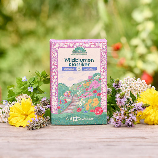 Wildflower Seed Set