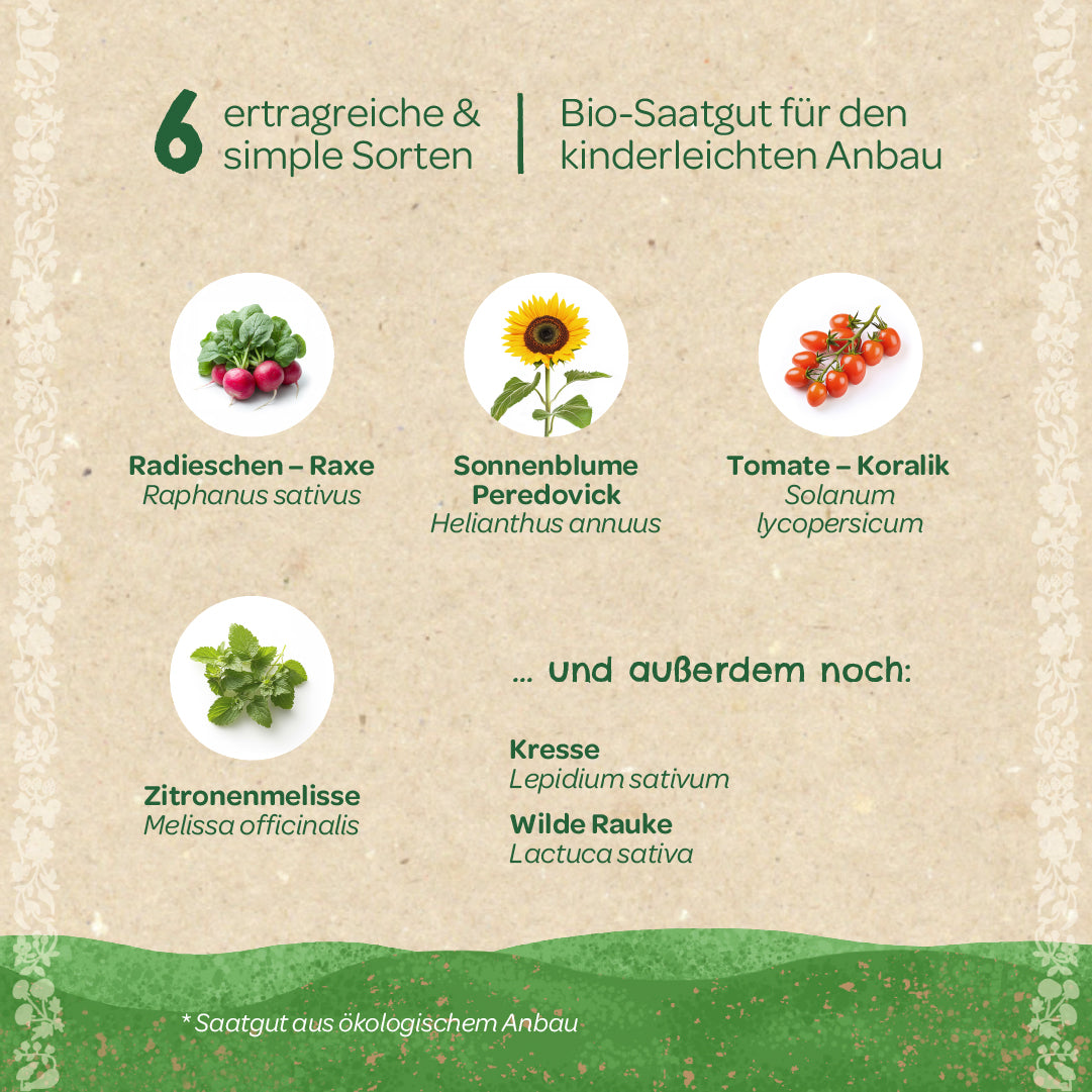 Organic seed set "Children's Garden"