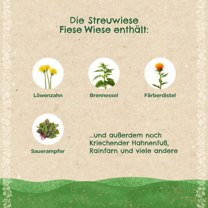 Streuwiese "Fiese Wiese"