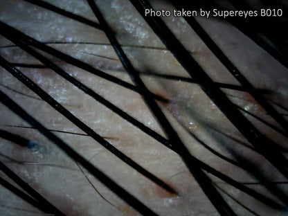 Supereyes B010 USB Digital Mikroskop Digitalmikroskop 1 bis 300-facher Vergrößerung mit LED-Beleuchtung und Stativ (Copy)