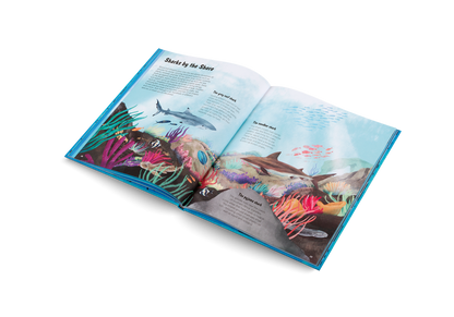 The World of Sharks