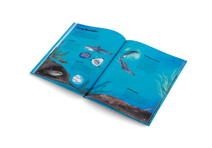 The World of Sharks