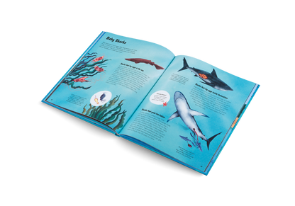 The World of Sharks