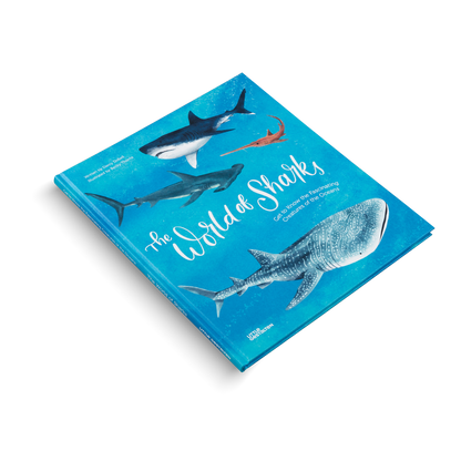 The World of Sharks