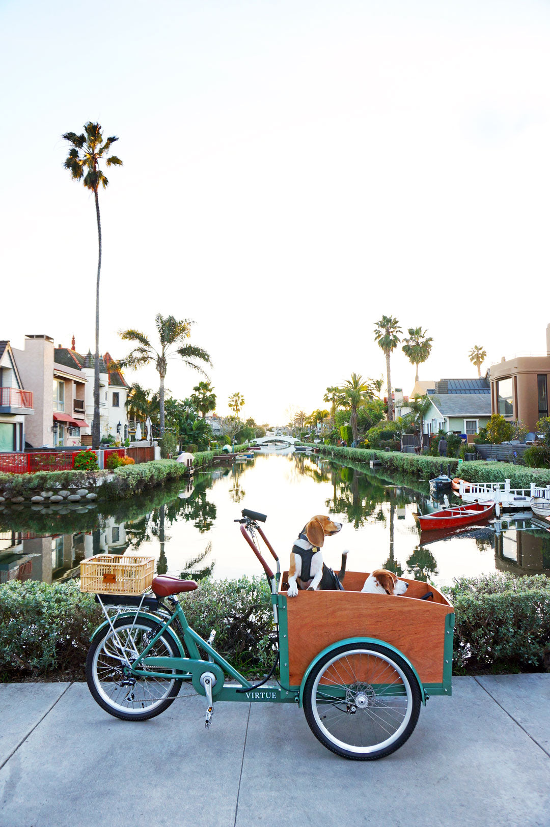 Velo City
