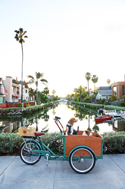 Velo City
