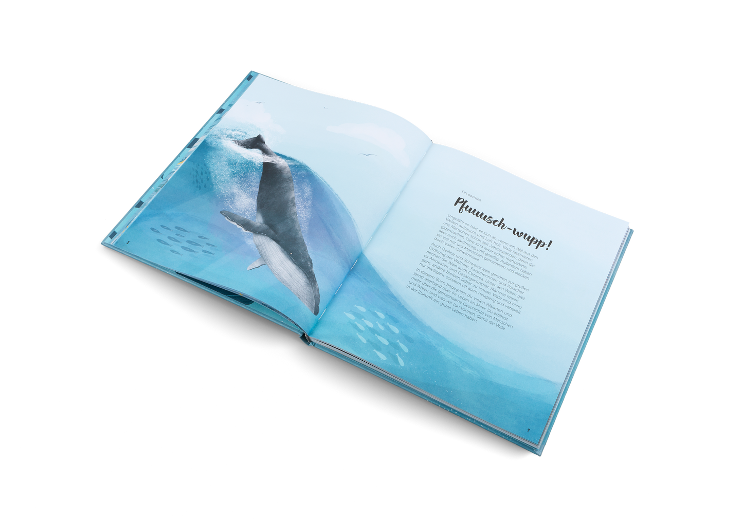 Die Welt der Wale