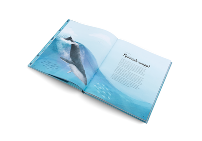 Die Welt der Wale