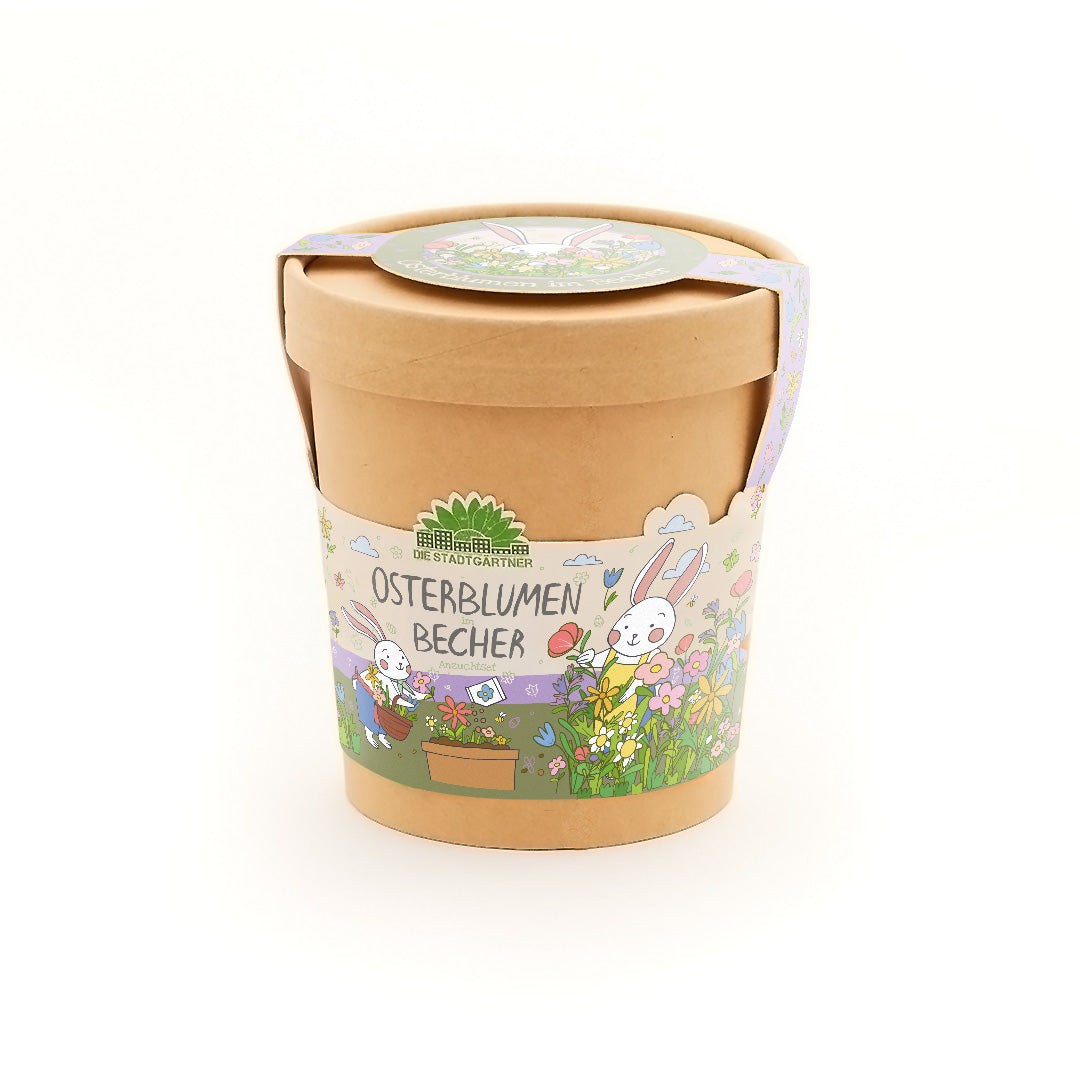 Flowers from the cup