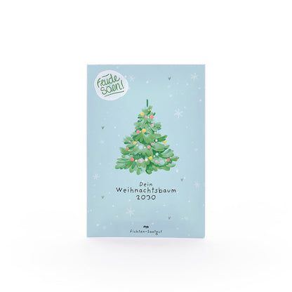 Spruce seeds "Christmas Tree 2030"