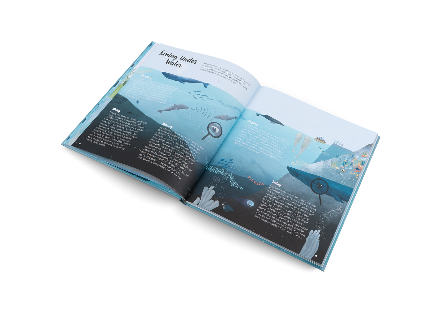 The World of Whales