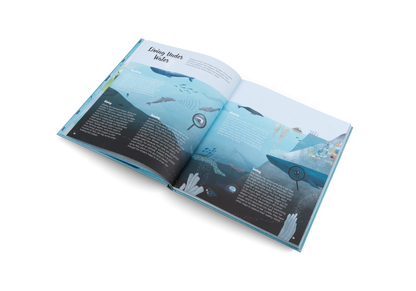 The World of Whales