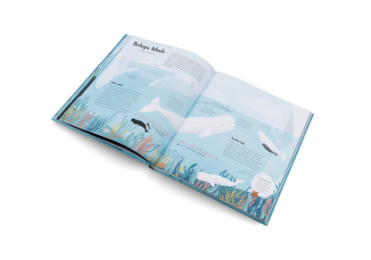 The World of Whales