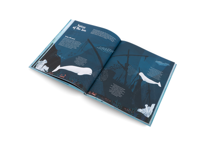 The World of Whales