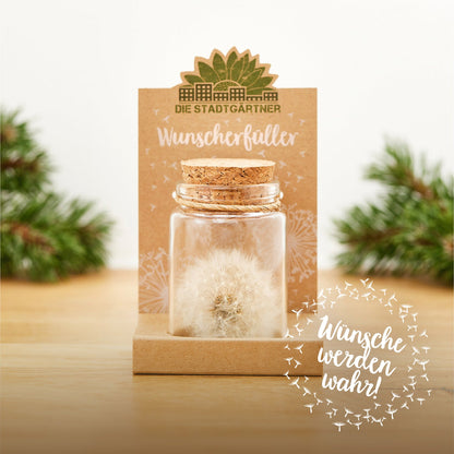 Big wish-fulfiller – dandelion in a glass
