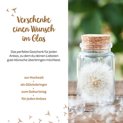 Big wish-fulfiller – dandelion in a glass