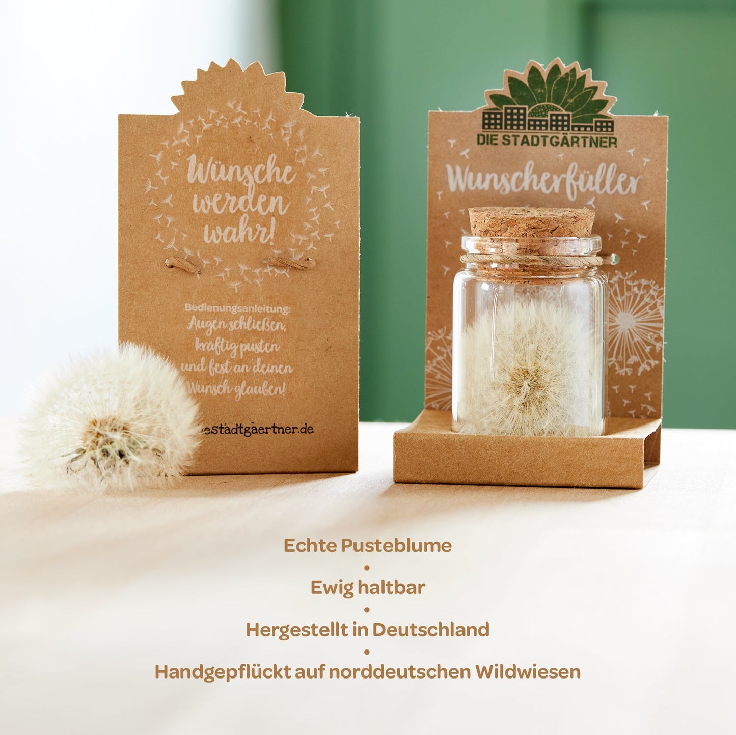 Big wish-fulfiller – dandelion in a glass