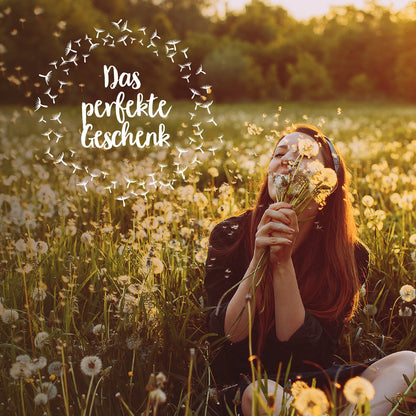 Big wish-fulfiller – dandelion in a glass
