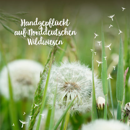 Big wish-fulfiller – dandelion in a glass