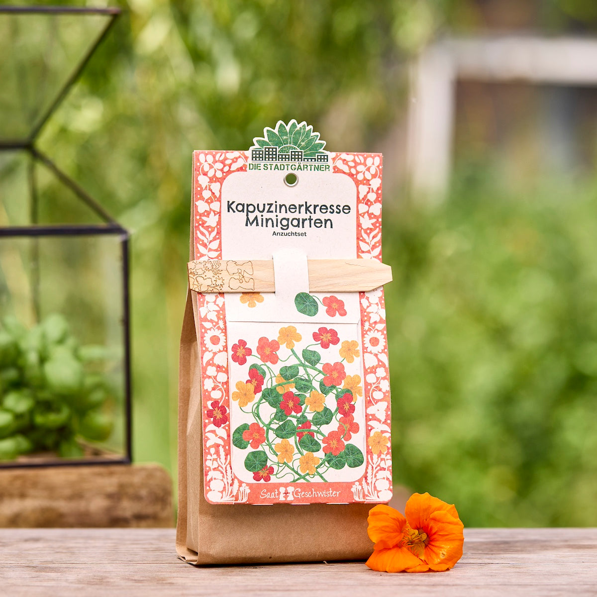 Growing kit – mini garden organic nasturtium