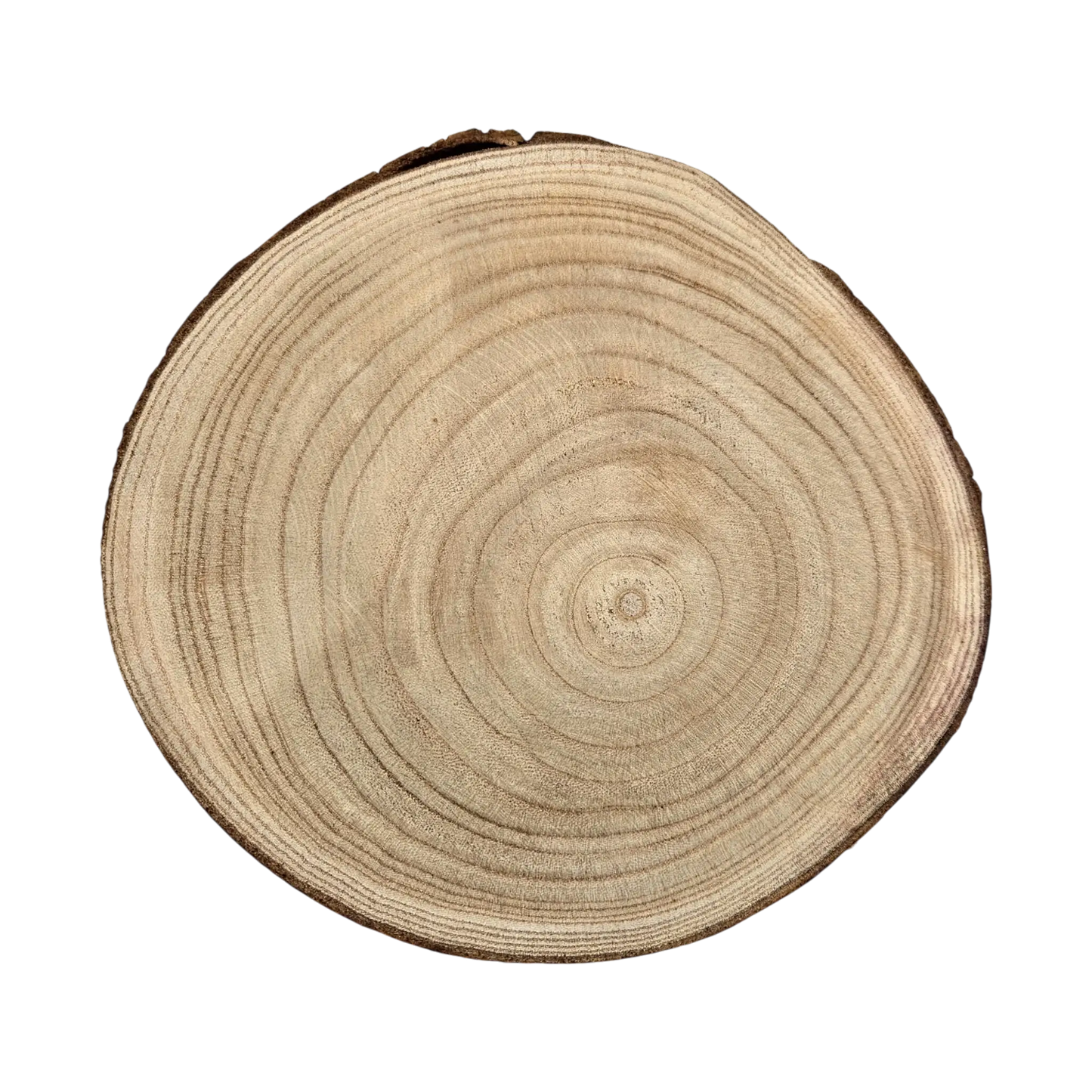Baumscheibe rund Dekoscheibe Basteln Dekoteller auf Füßen Holzscheibe mit Rinde 17-22 cm