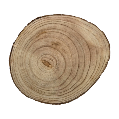 Baumscheibe rund Dekoscheibe Basteln Dekoteller auf Füßen Holzscheibe mit Rinde 17-22 cm