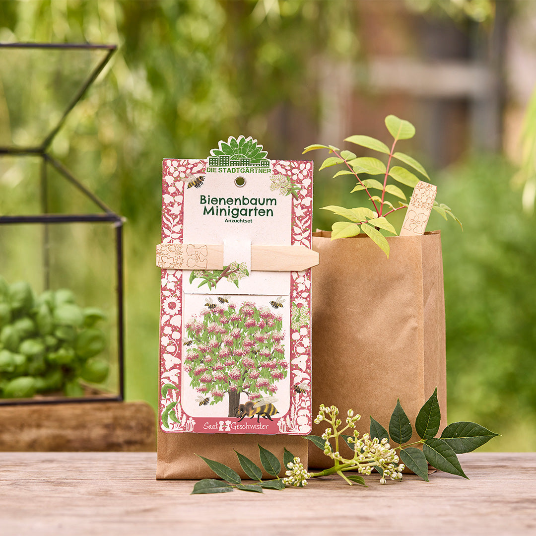 Growing kit mini garden bee tree