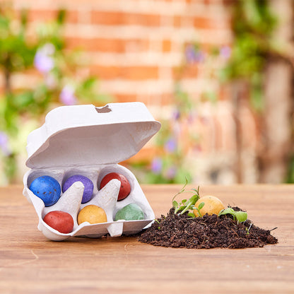 6 colorful flower marbles in an egg carton