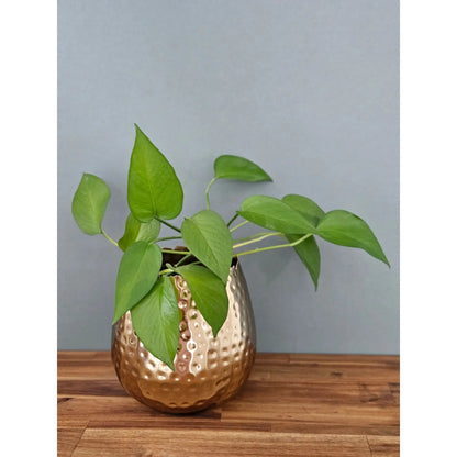 Blumentopf Übertopf Vase gold Metall Hammerschlag 18x18 cm Pflanztopf Deko