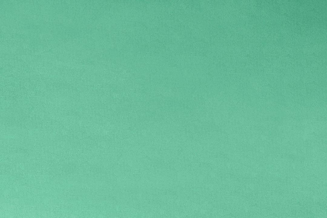 Shannon Minky Cuddle 3 - Spearmint