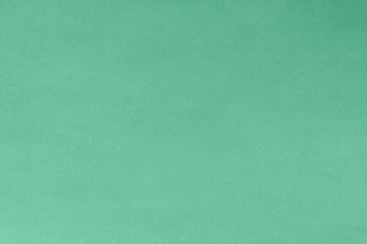 Shannon Minky Cuddle 3 - Spearmint