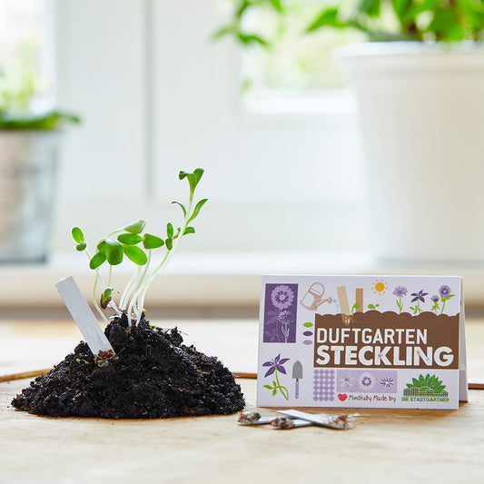 Seed cutting "Fragrant Garden"