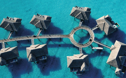 Oasis