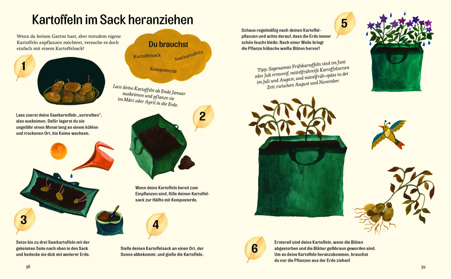 Kleine grüne Daumen
