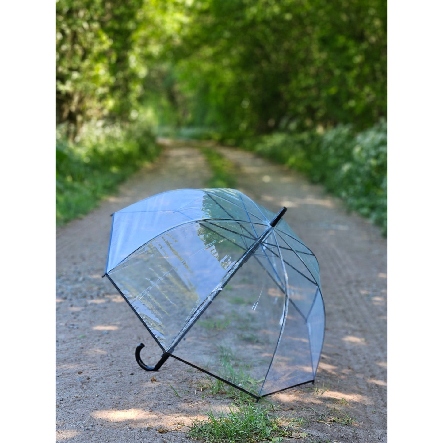 Regenschirm Glockenschirm Schirm Regen Glockenform rund klar transparent Ø 85 cm