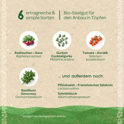 Organic seed set "Balcony vegetables"