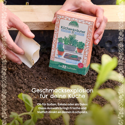 BIO-Saatgut-Set "Küchenkräuter"