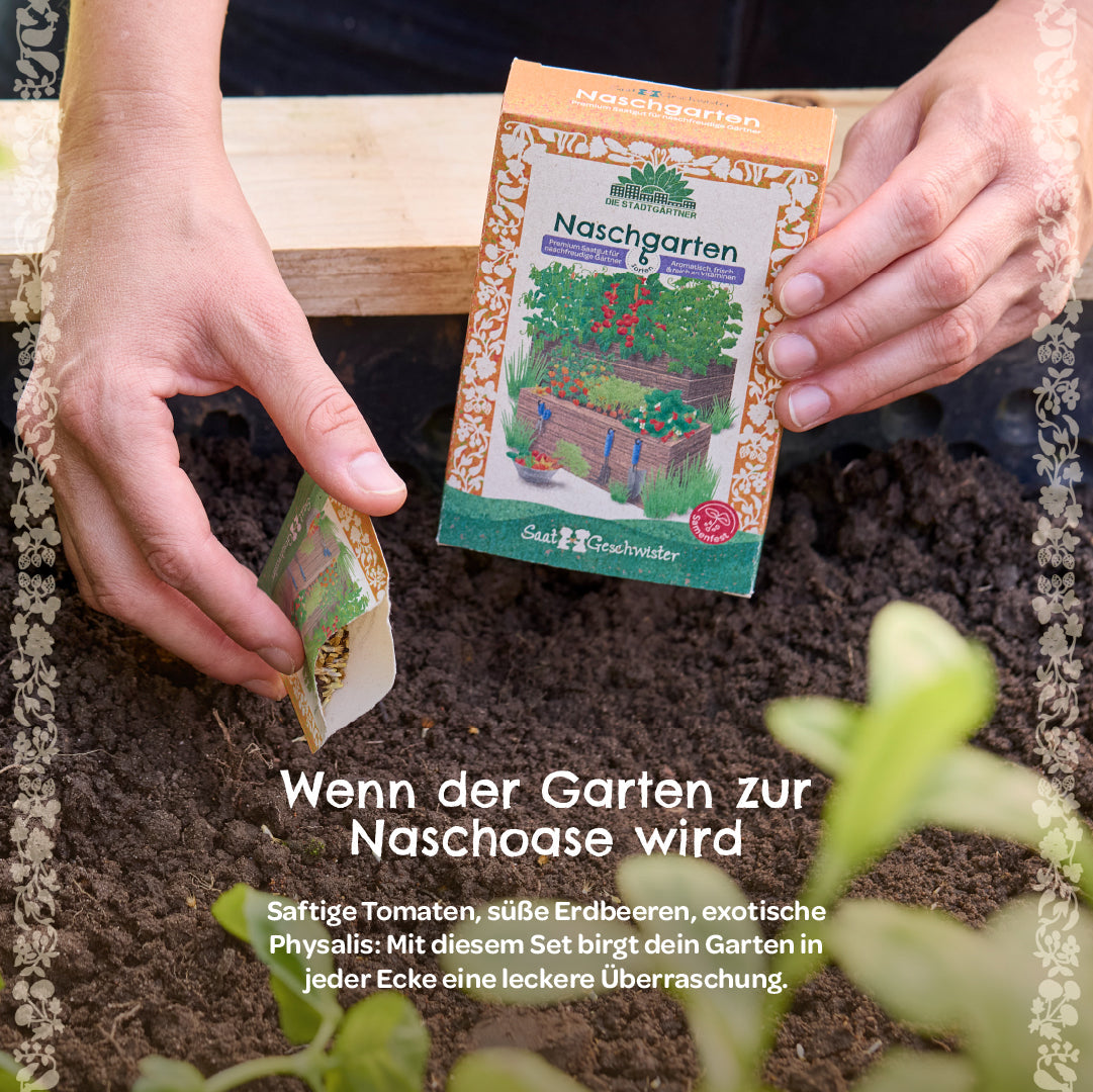 Organic seed set "Snack Garden"