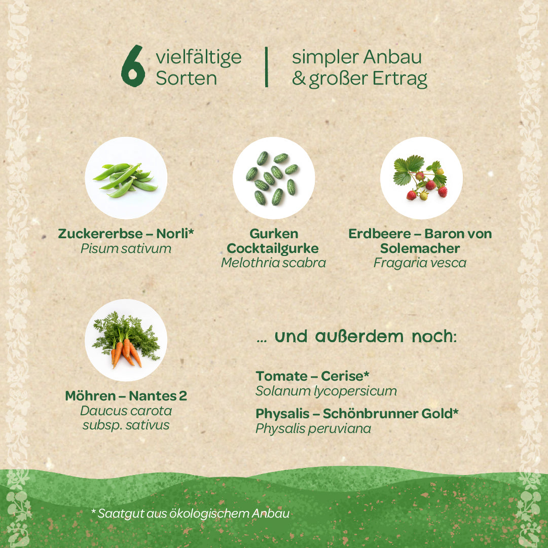 Organic seed set "Snack Garden"