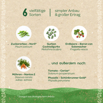 Organic seed set "Snack Garden"