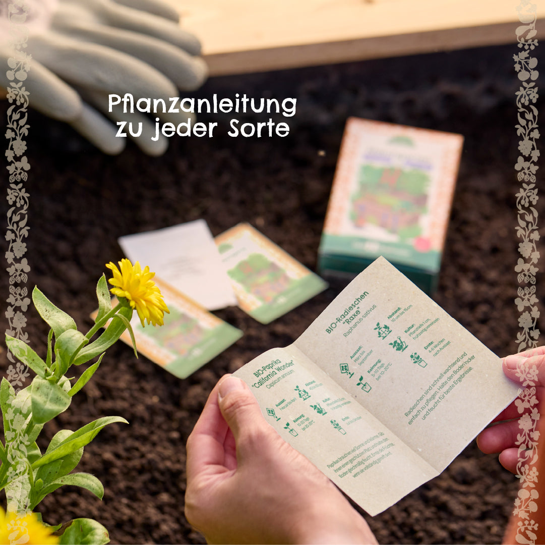 Organic seed set "Snack Garden"